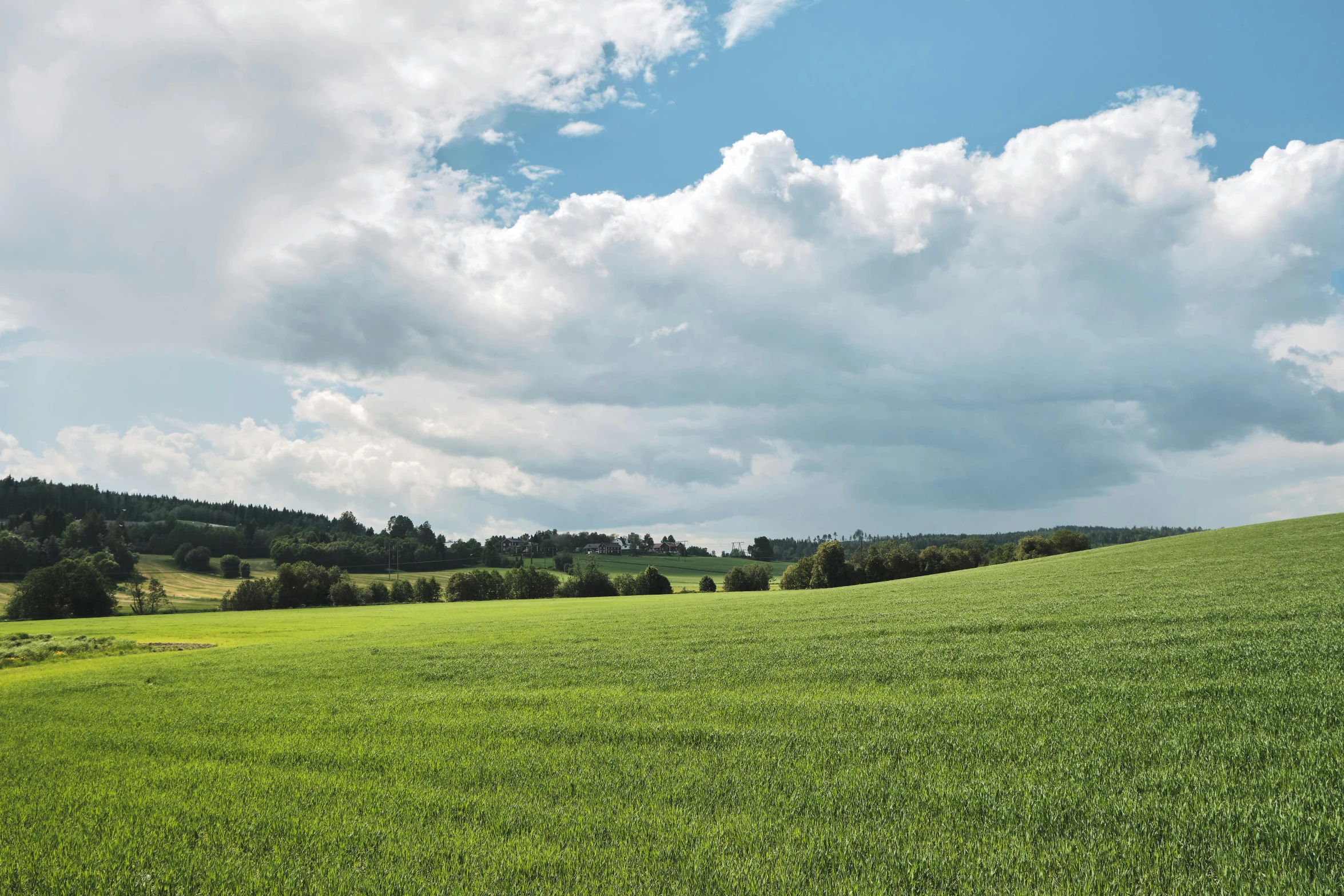 a field of green grass with a blue sky in the background, by Matthias Stom, pexels contest winner, overcast flat midday sunlight, near forest, big sky, few farm green highlights