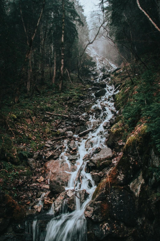 a stream running through a lush green forest, a picture, by Alexander Bogen, unsplash contest winner, romanticism, album cover, mountainside, pouring, low light