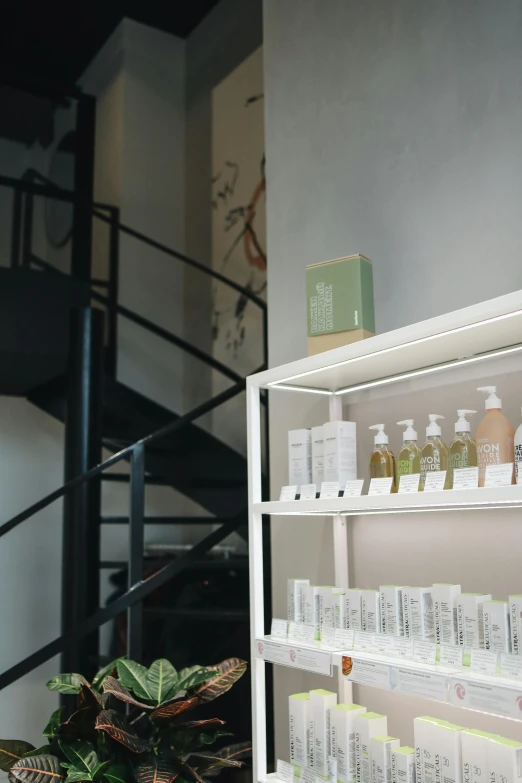 a woman standing in front of a shelf filled with cosmetics, unsplash, renaissance, pale greens and whites, stairs and bookshelves, detail structure, storefront