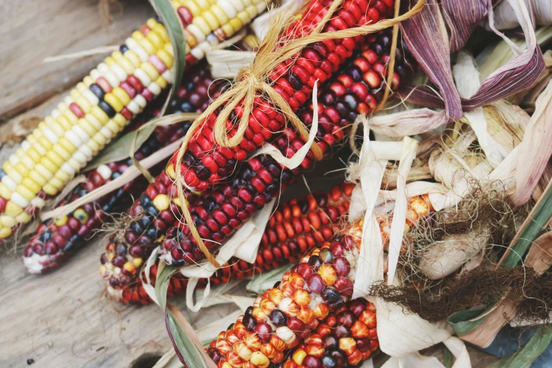 a pile of corn sitting on top of a wooden table, unsplash, process art, green and red plants, tribal jewelry, autum, thumbnail