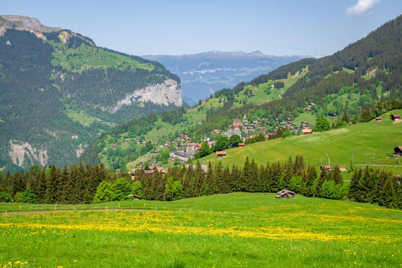 a herd of cattle grazing on top of a lush green hillside, by Karl Stauffer-Bern, pexels contest winner, les nabis, village in the background, full of flowers, geiger, slide show