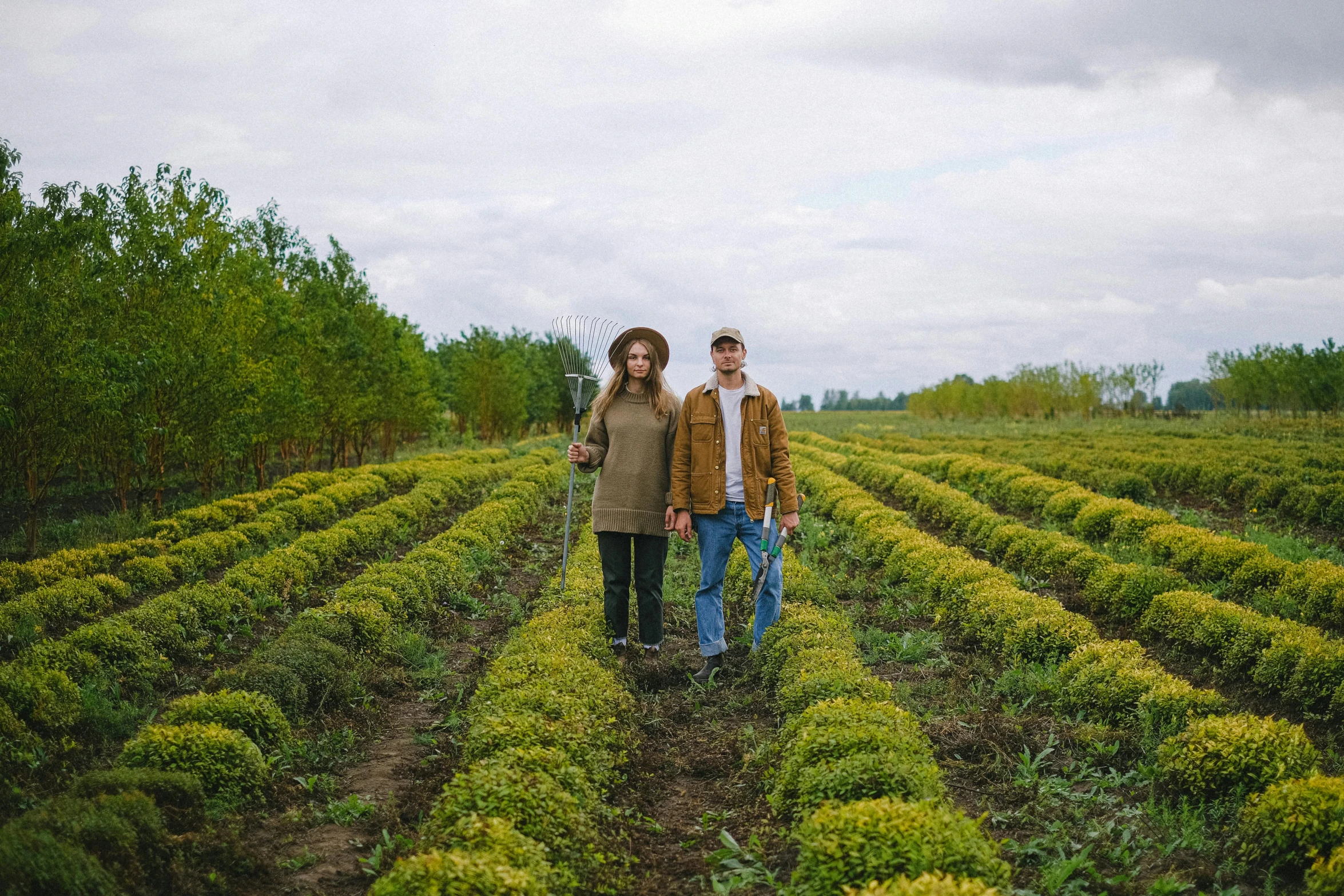 a couple of people standing next to each other in a field, by Julia Pishtar, unsplash, land art, in russia, rows of lush crops, herbs, hedges