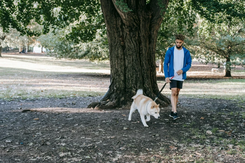 a man walking a dog in a park, unsplash, shin hanga, melbourne, avatar image, sport, high resolution photo