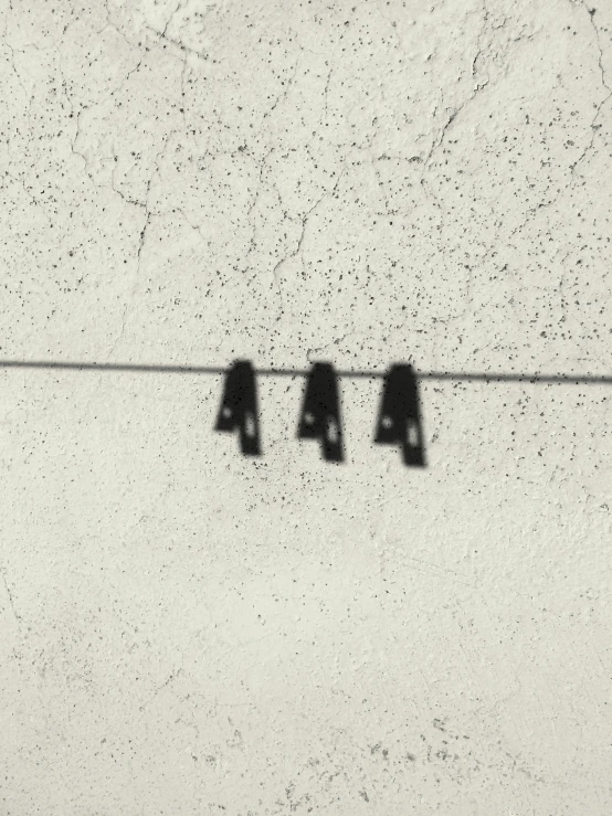 a black and white photo of clothes hanging on a line, an album cover, concrete poetry, 9 4, 15081959 21121991 01012000 4k, sparrows