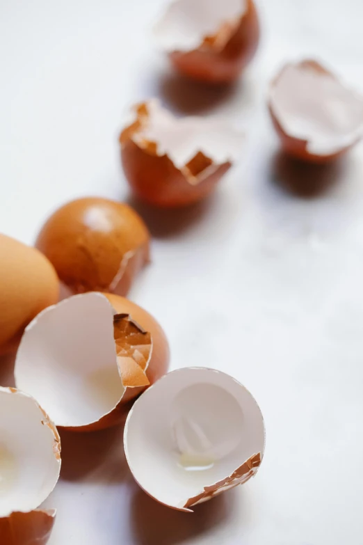 a group of eggs sitting on top of a table, crushed, mai anh tran, half image, organics