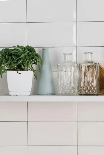 a shelf filled with vases and plants on top of a white tiled wall, unsplash, kitchen counter, detailed product image, in bathroom, low angle view