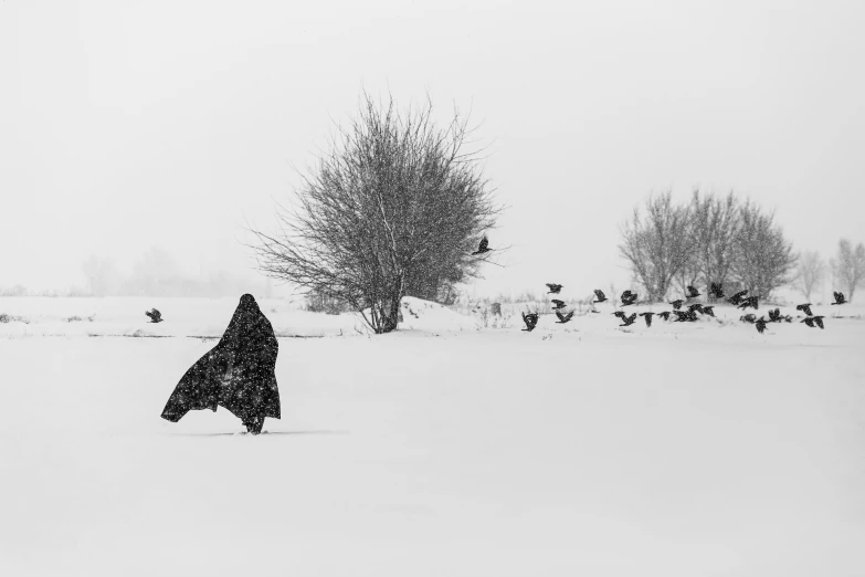 a black and white photo of a person walking in the snow, by Lucia Peka, pexels contest winner, conceptual art, wearing black medieval robes, an old man with 7 yellow birds, burka, kerem beyit