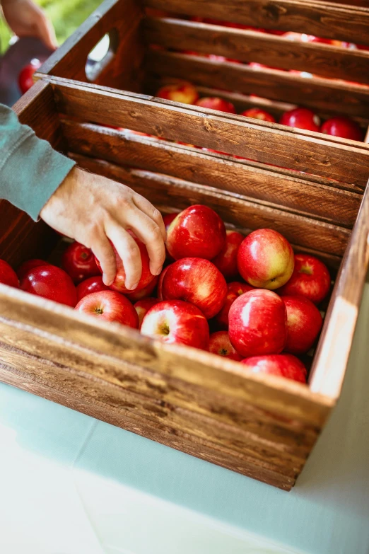 a person picking apples from a wooden box, hands on counter, displays, shiny crisp finish, local foods