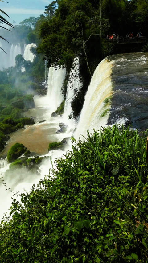 a large waterfall in the middle of a lush green forest, an album cover, pexels contest winner, hurufiyya, brazil, high - angle view, slide show, view from side