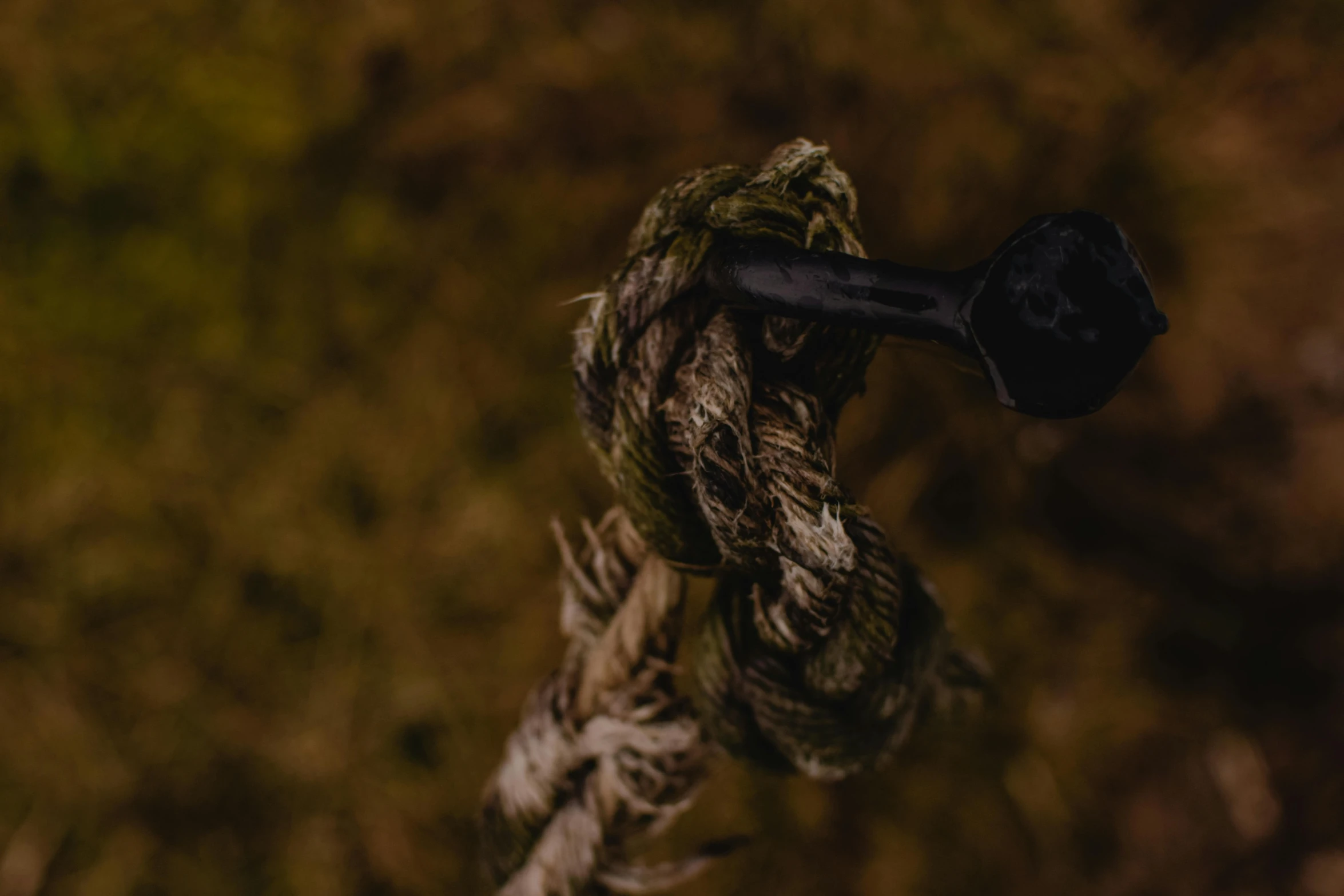 a close up of a rope tied to a pole, an album cover, unsplash, background image, farming, spooky photo, high angle shot