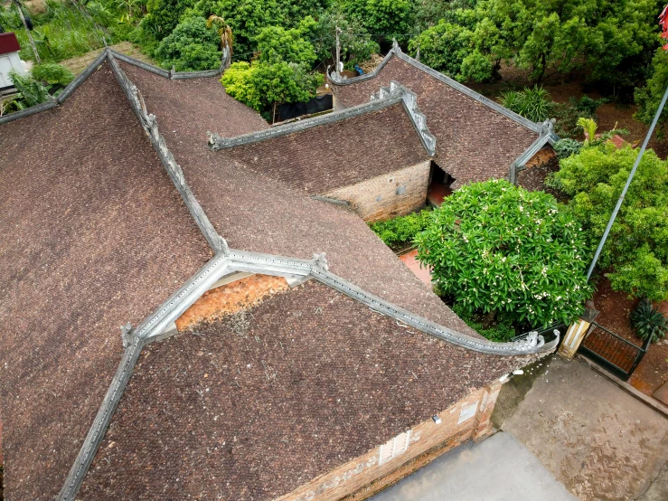 a bird's eye view of the roof of a house, inspired by Cui Bai, buzzed hair on temple, exterior botanical garden, ao dai, brown