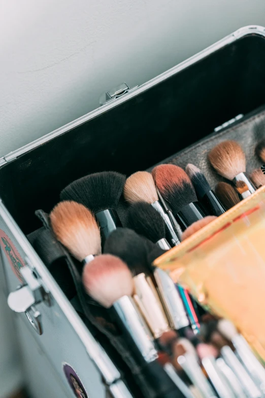 a suitcase filled with lots of makeup brushes, trending on pexels, looks directly at camera, skincare, mid-shot, ilustration