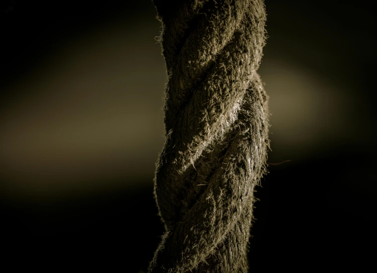 a close up of a rope on a pole, an album cover, inspired by Patrick Dougherty, trending on pexels, conceptual art, dramatic product lighting, cinestill hasselblad 2 0 0 mm, anton semenov, vertical wallpaper