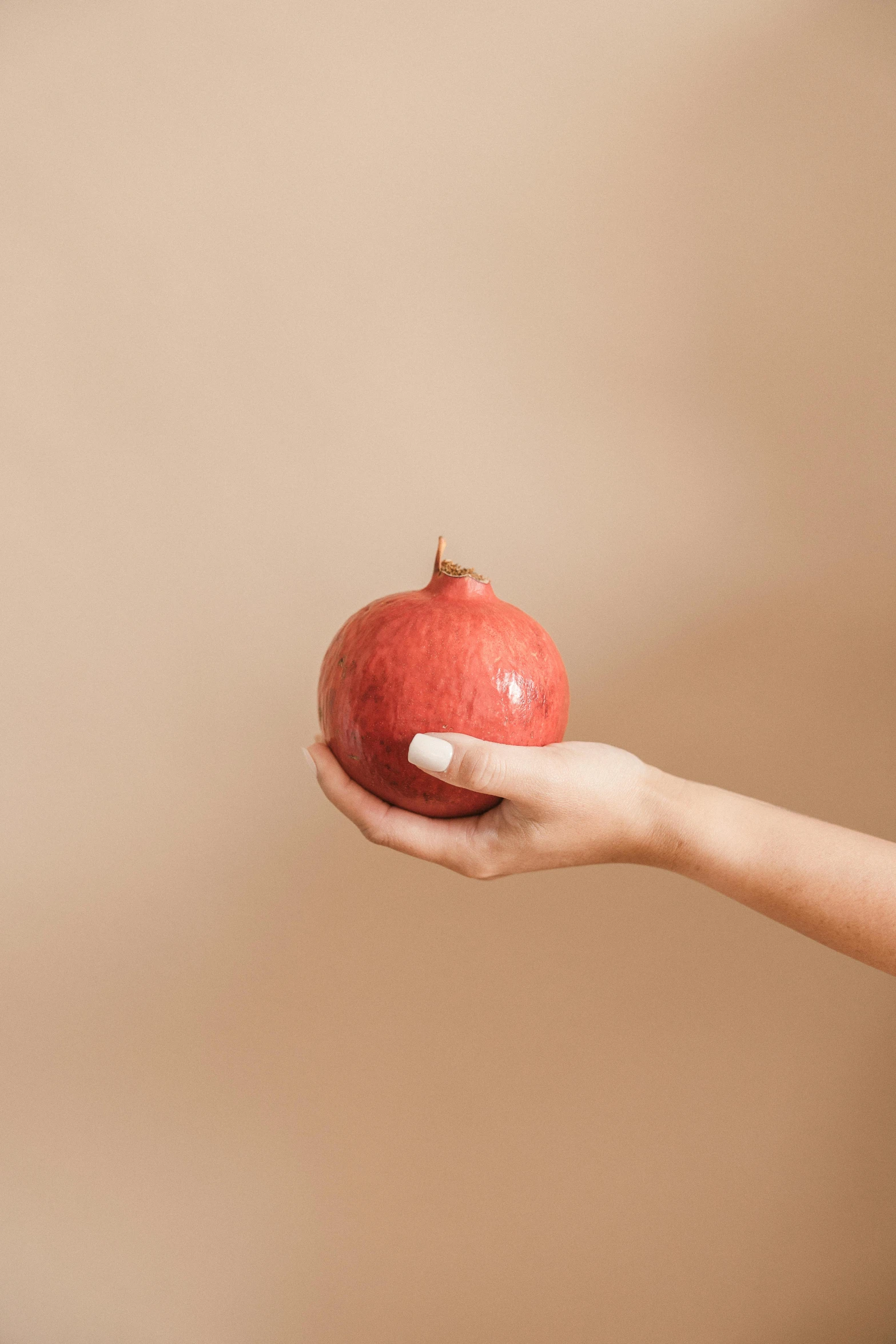 a person holding an apple in their hand, obsidian pomegranade, profile pic, humus, petite body