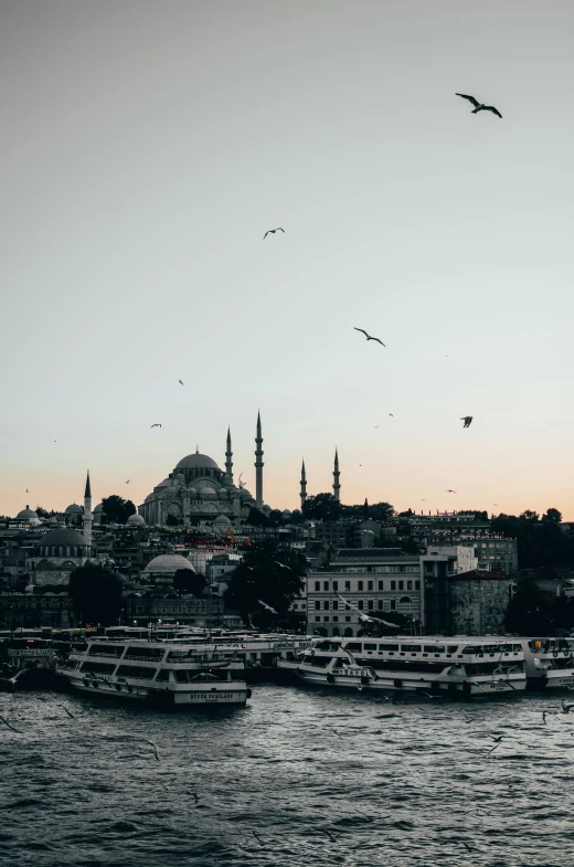 a group of boats floating on top of a body of water, pexels contest winner, hurufiyya, fallout style istanbul, birds flying in the distance, building along a river, a quaint