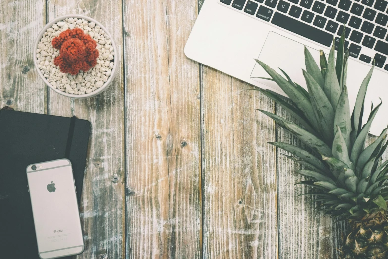 a laptop computer sitting on top of a wooden table, by Carey Morris, trending on unsplash, renaissance, 9 9 designs, snacks, botanicals, grain”