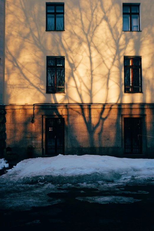 the shadow of a tree on the side of a building, inspired by Elsa Bleda, pexels contest winner, winter atmosphere, golden windows, backlighted, winter setting