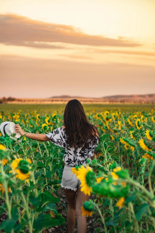 a woman standing in a field of sunflowers, pexels contest winner, color field, australian, sun down, low quality photo, walking down