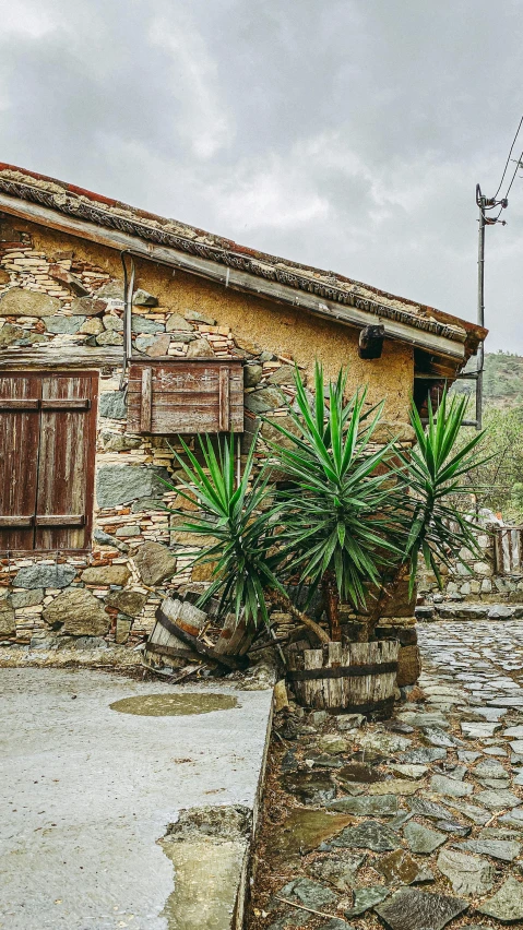 a stone building with a potted plant in front of it, by Carlo Carrà, pexels contest winner, cabbage trees, secretly on a village, alexandros pyromallis, outside a saloon