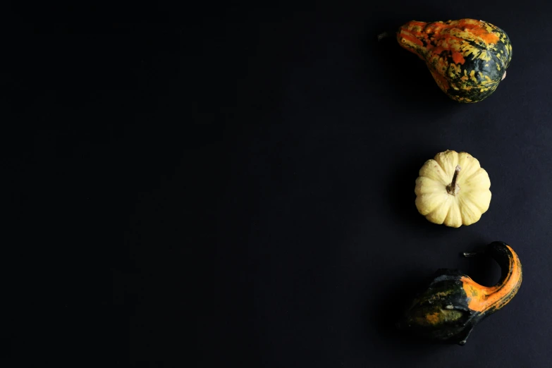 a group of gourds sitting on top of a black surface, unsplash, minimalism, background image, trio, ignant, during autumn