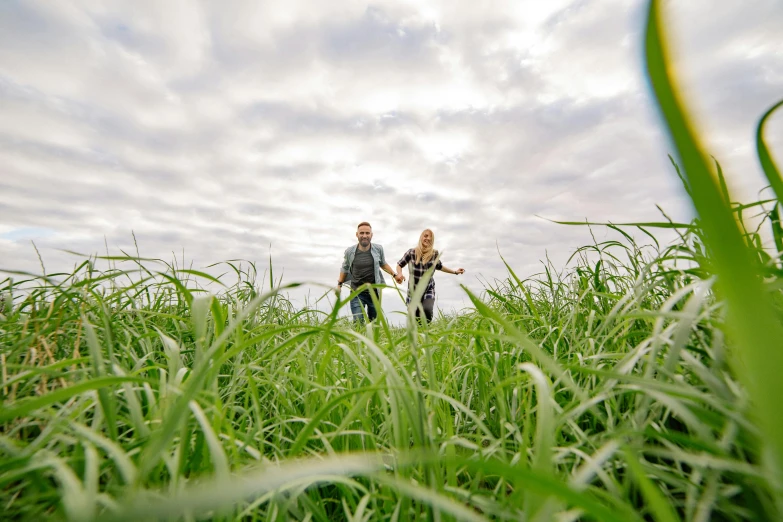 a man and woman walking through tall grass, a picture, by Julian Allen, unsplash, happening, flying towards the camera, farming, very wide view, high quality image