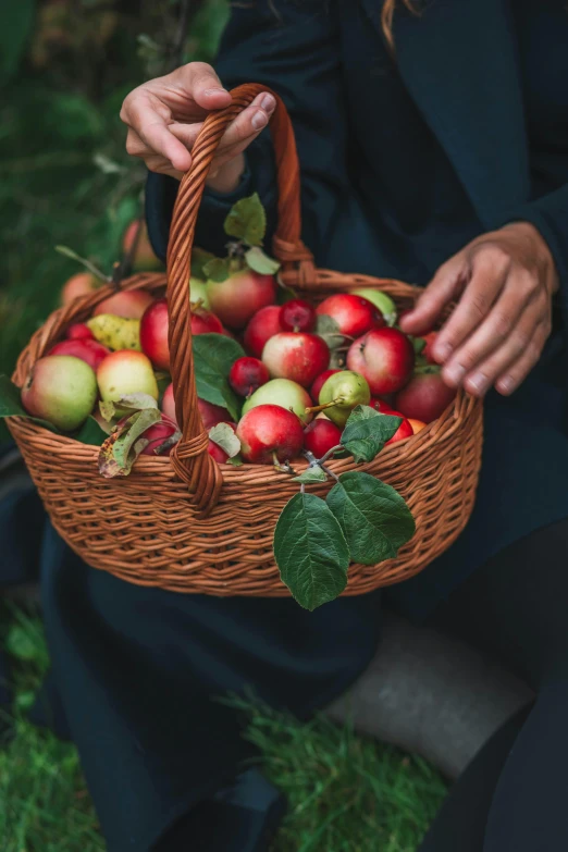 a woman holding a basket full of apples, by Julia Pishtar, pexels contest winner, renaissance, promo image, multiple stories, holiday, middle close up composition