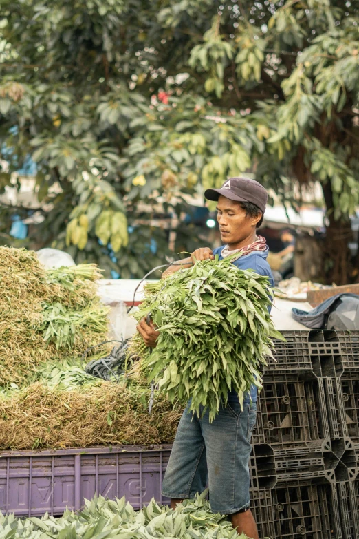 a man standing next to a pile of grass, sumatraism, densely packed buds of weed, market setting, profile image, industries