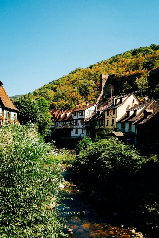 a river running through a lush green forest filled with trees, a photo, inspired by Franz von Lenbach, pexels contest winner, renaissance, french village exterior, autum, built on a steep hill, ocher