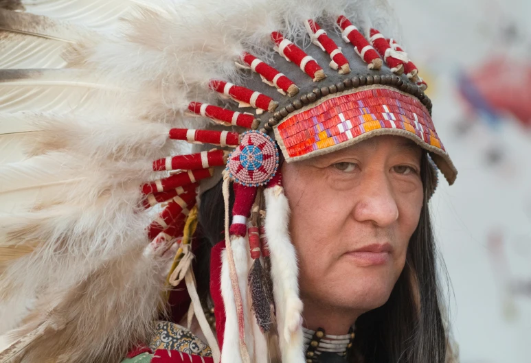 a close up of a person wearing a headdress, inspired by George Catlin, trending on unsplash, rasquache, multiple stories, indigenous man