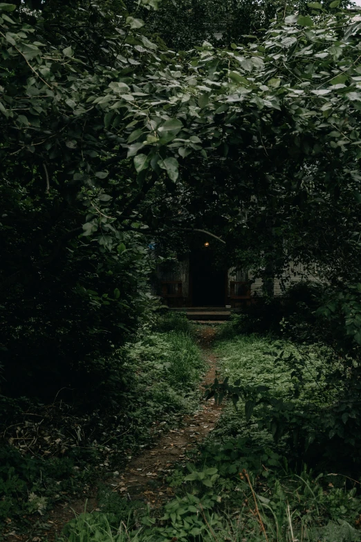 a path in the middle of a lush green forest, an album cover, inspired by Elsa Bleda, pexels contest winner, inside a haunted house, secret entrance, garden environment, low quality photo