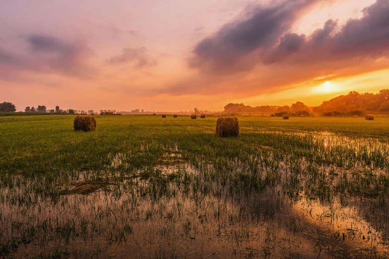 a field with hay bales and a sunset in the background, by Jan Tengnagel, unsplash contest winner, land art, flooding, panorama, humid evening, in louisiana