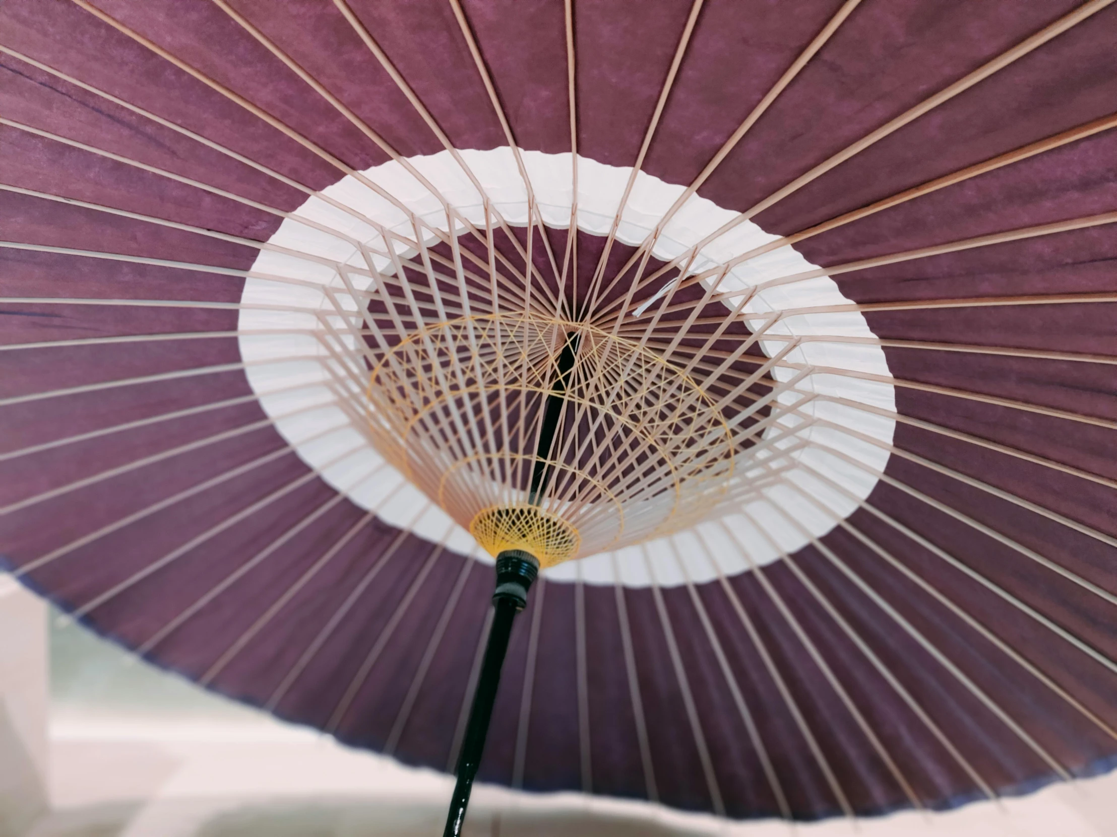 a close up of a purple and white umbrella, inspired by Uemura Shōen, unsplash, japonisme 3 d 8 k ultra detailed, brown, closeup - view, decoration