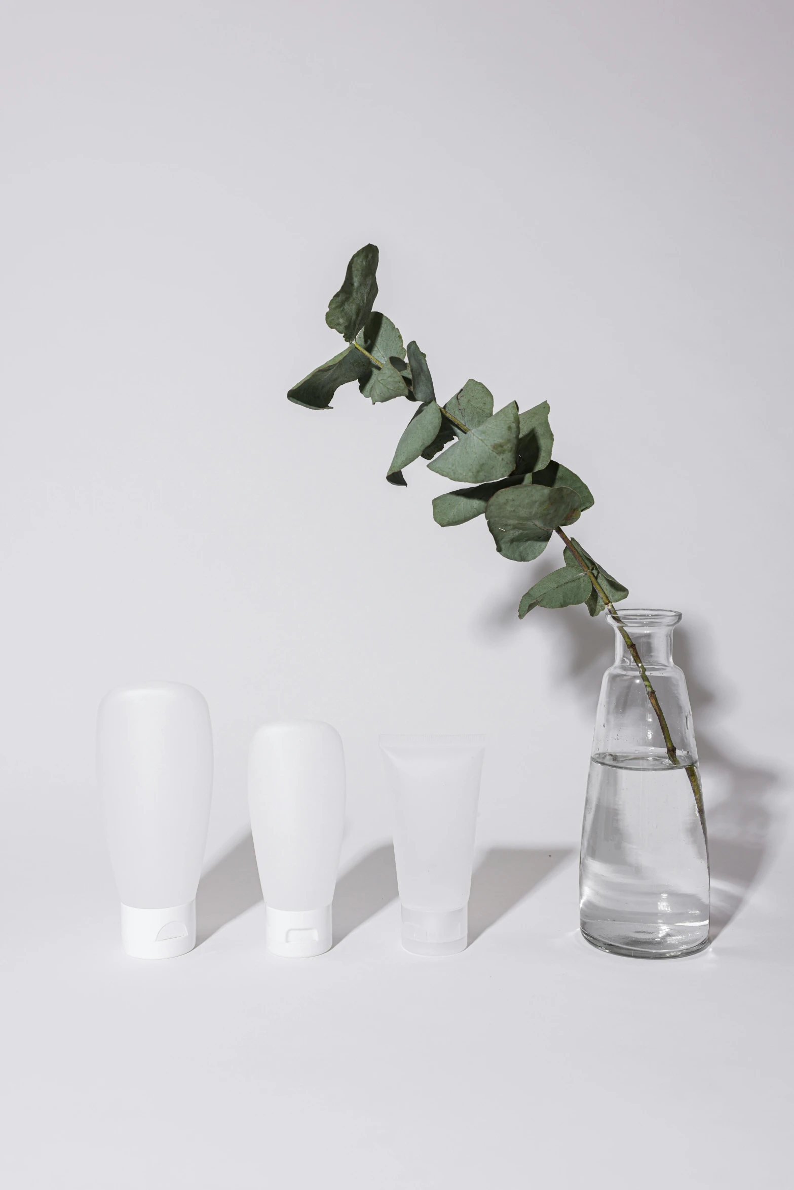 a close up of a vase with a plant in it, a still life, unsplash, minimalism, plastic bottles, 3 - piece, silicone skin, with white