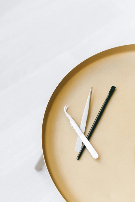 a plate with a fork and knife on it, a still life, by Jan Tengnagel, trending on pexels, minimalism, gold watch, relaxed eyebrows, small quills along it's back, detailed product image