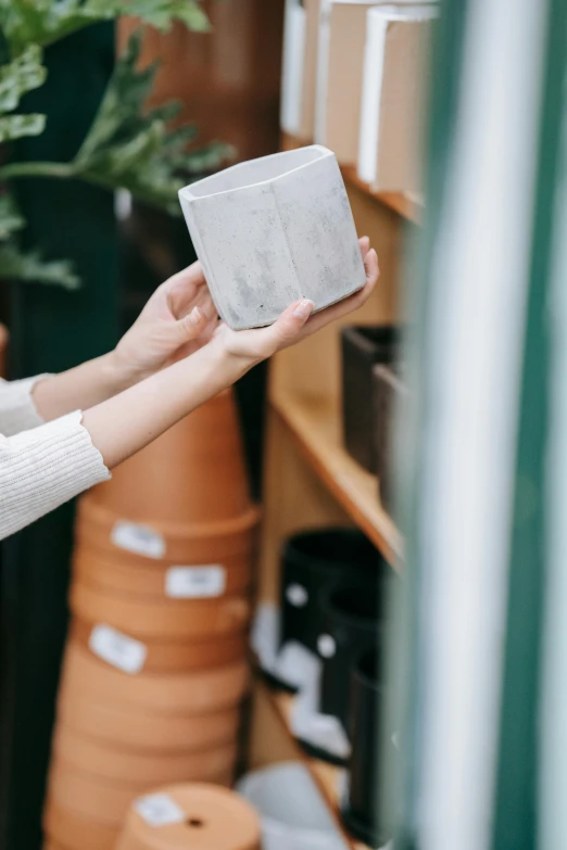 a woman standing next to a potted plant, a marble sculpture, trending on unsplash, stacking supermarket shelves, detailed product image, hand holding cap brim, white box