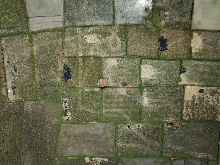 a bird's eye view of a patch of land, an album cover, inspired by Zhang Kechun, land art, ripped up field fatigues, taken in the early 2020s, bangladesh, patchwork