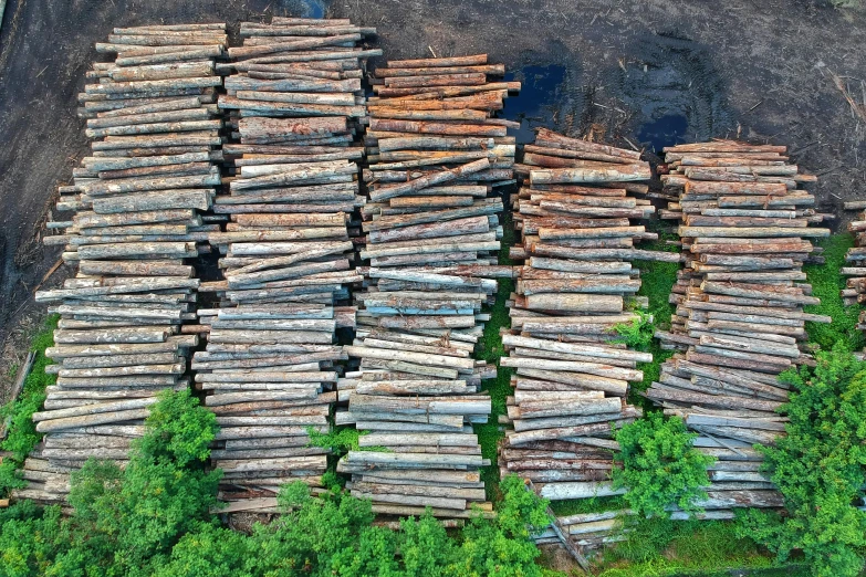 a large pile of logs sitting on top of a forest, by Werner Gutzeit, pexels contest winner, aerial view cinestill 800t 18mm, wood planks, ilustration, paul barson