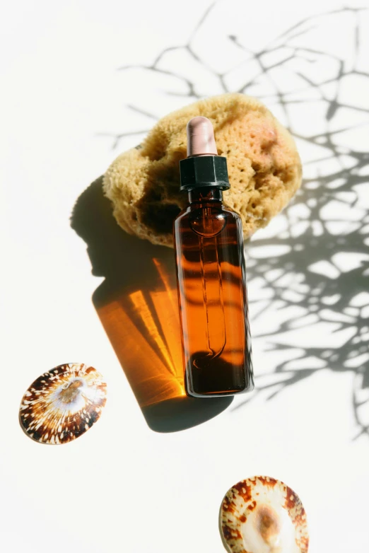 a bottle of essential oil sitting on top of a table, a picture, by Jessie Algie, trending on pexels, radiolaria, ammonite, with textured hair and skin, on clear background