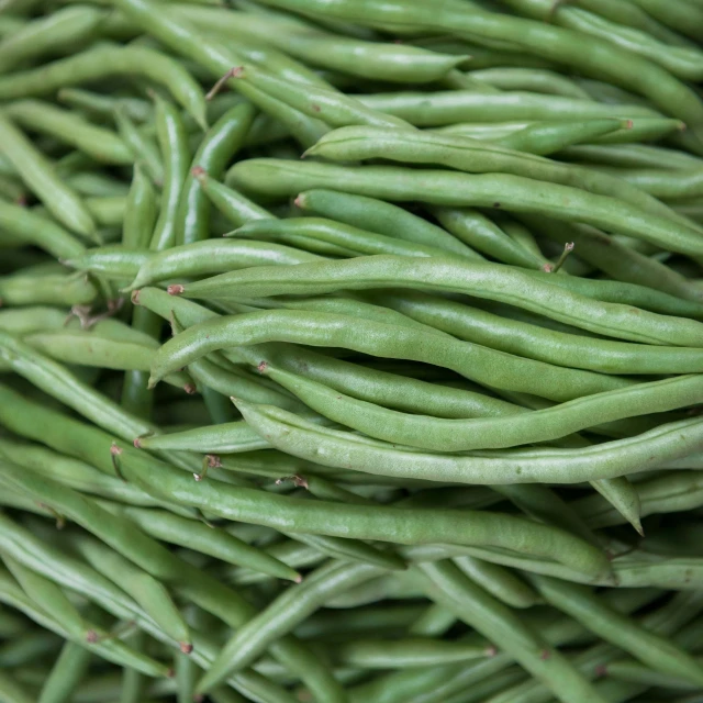 a pile of green beans sitting on top of each other, in a medium full shot, listing image, 3 4 5 3 1, rosen zulu
