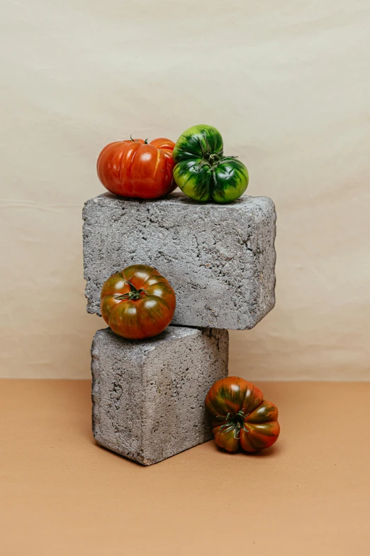 a pile of tomatoes sitting on top of a cement block, an abstract sculpture, concrete art, veggies, jen atkin, pumpkins, lulu chen