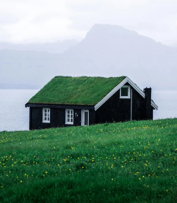 a small black house sitting on top of a lush green hillside, an album cover, pexels contest winner, norse, trending on 5 0 0 px, turf roof, on an island