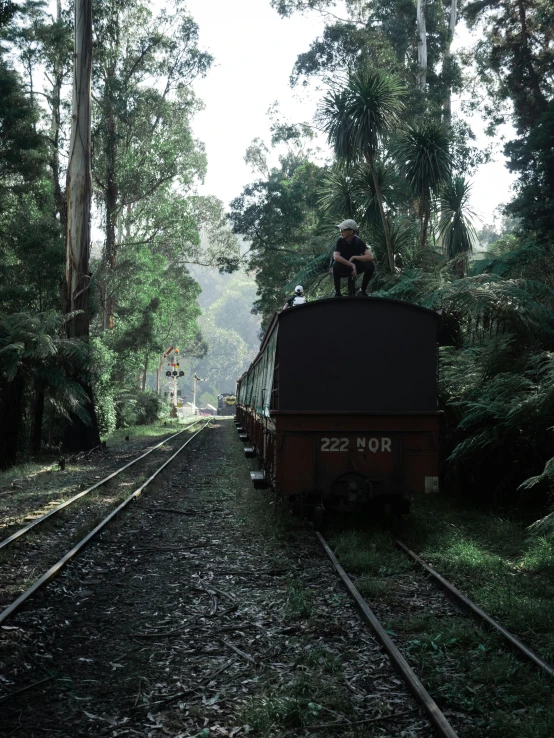 a train traveling through a lush green forest, an album cover, inspired by Steve McCurry, photorealism, melbourne, smoky, low quality photo, tourist photo