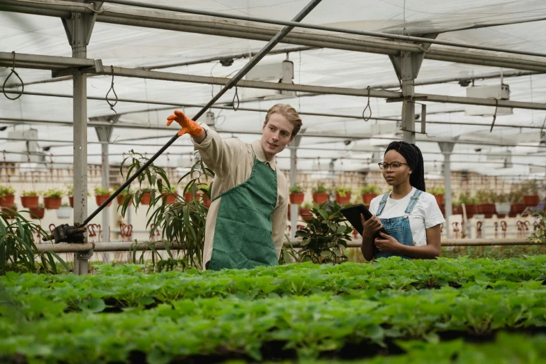 a man and a woman working in a greenhouse, pexels contest winner, renaissance, avatar image, high resolution, holding a staff, hydroponic farms