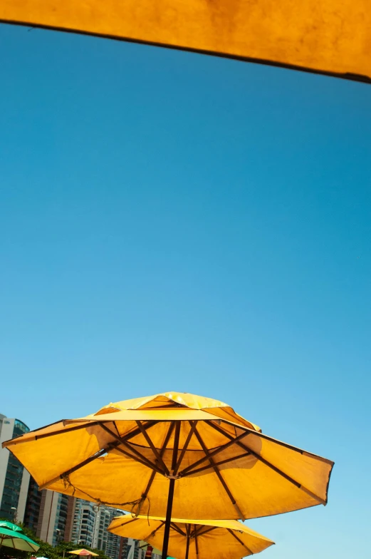 a group of yellow umbrellas sitting on top of a sandy beach, on a rooftop, blue sky above, f/4.5, breakfast