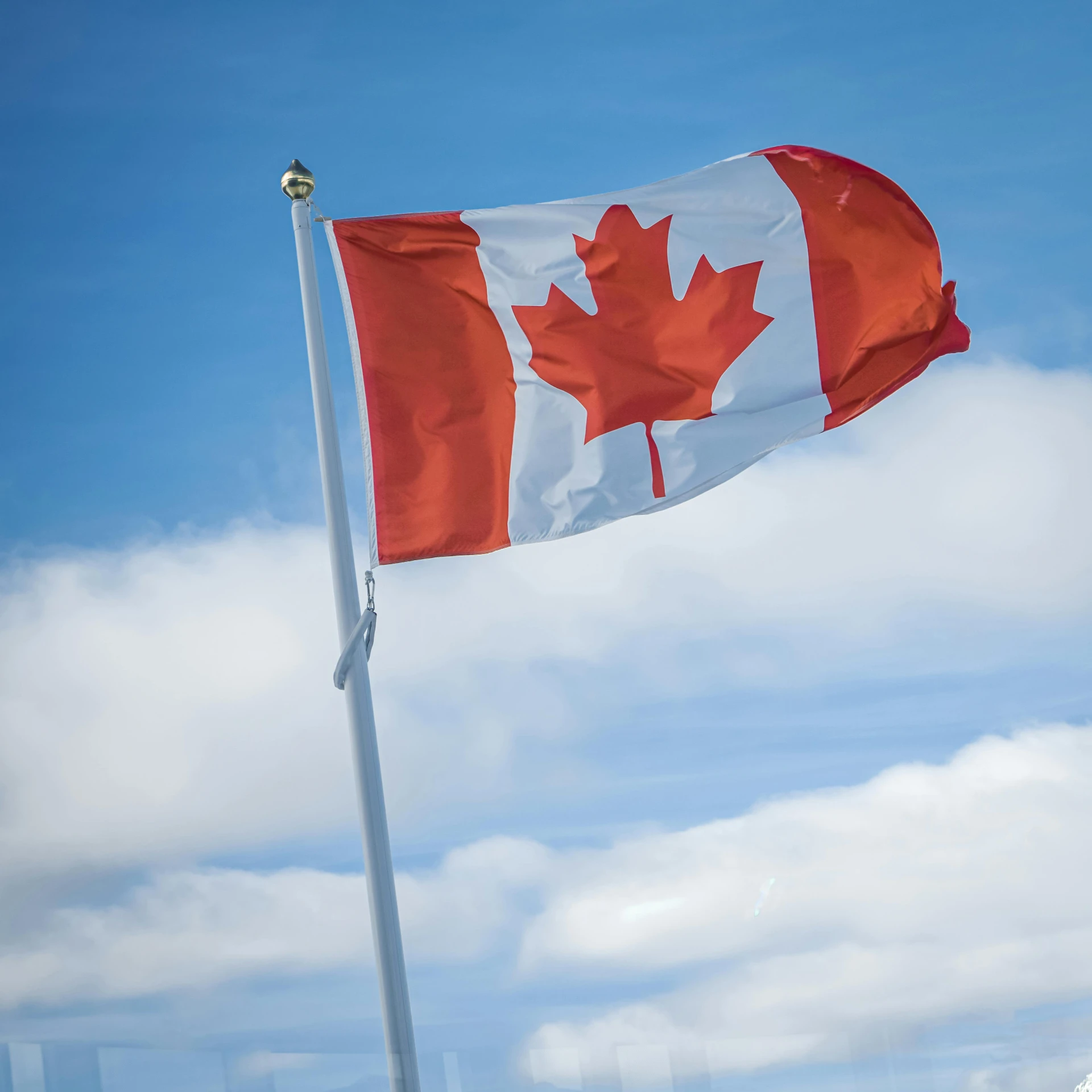 a canadian flag blowing in the wind on a sunny day, a portrait, pexels contest winner, hurufiyya, avatar image, high angle shot, instagram post, 8k resolution”