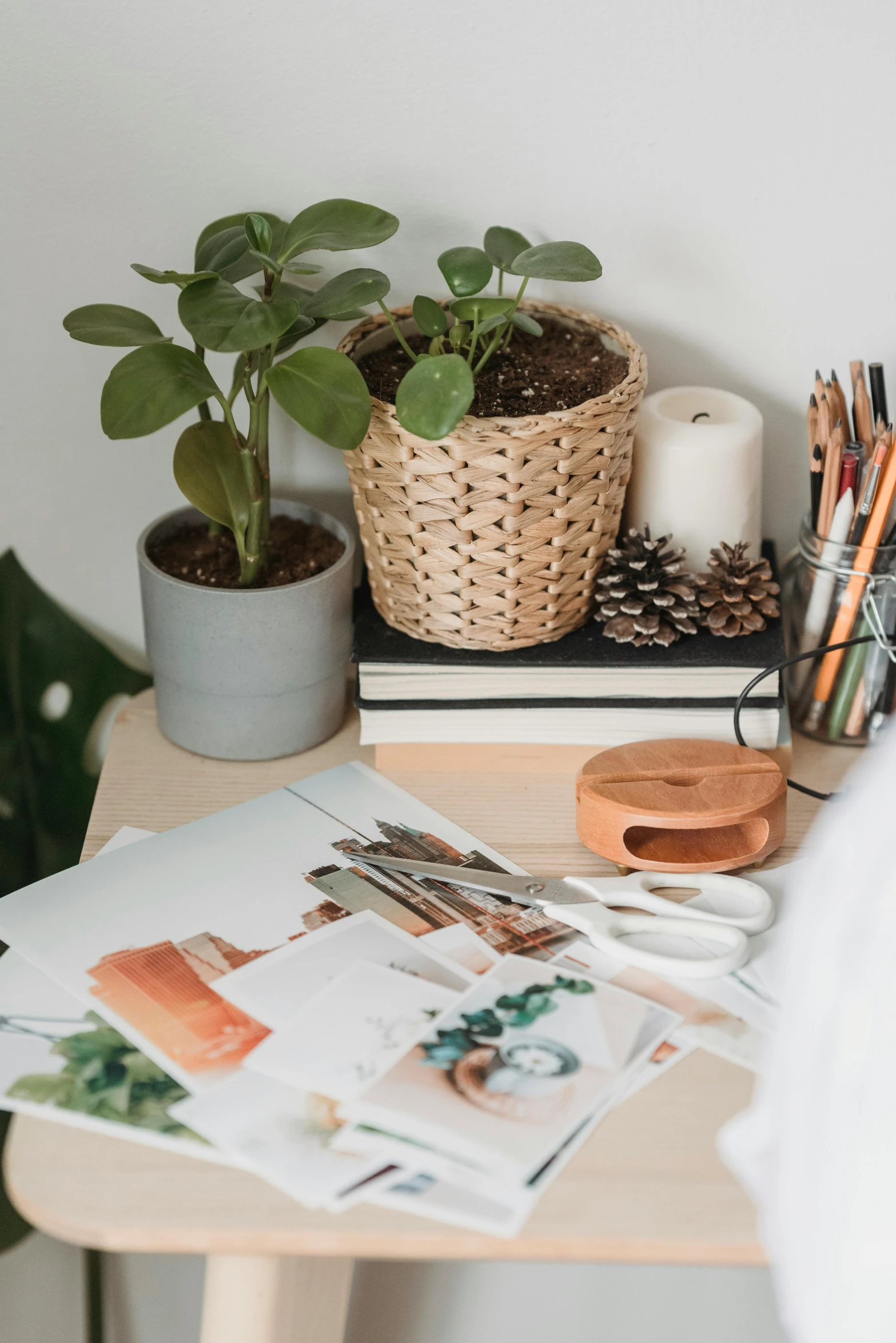 a desk with a potted plant on top of it, trending on pexels, visual art, scrapbook, flatlay book collection, studio lit, small and cosy student bedroom