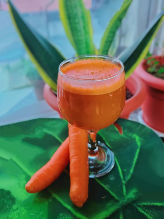 a glass of carrot juice sitting on top of a table, 🦩🪐🐞👩🏻🦳, profile image, greens), puṣkaracūḍa