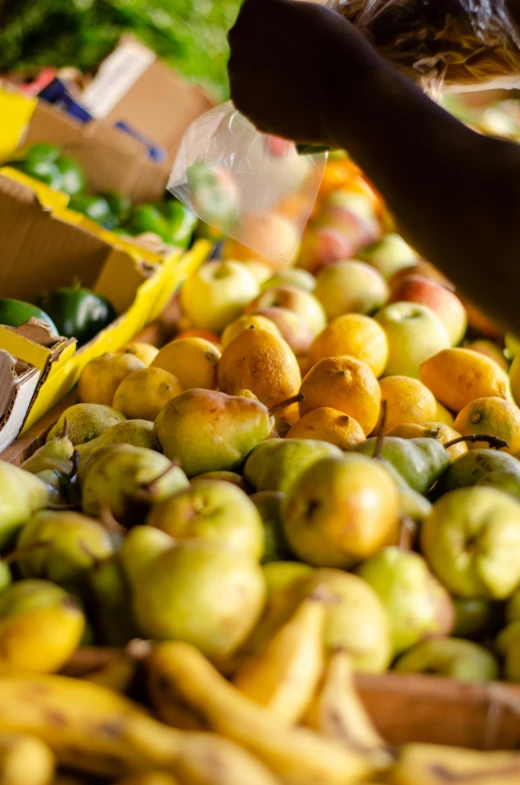 a table filled with lots of different types of fruit, by David Garner, pexels, somalia, pear for a head, 2 5 6 x 2 5 6 pixels, hands on counter