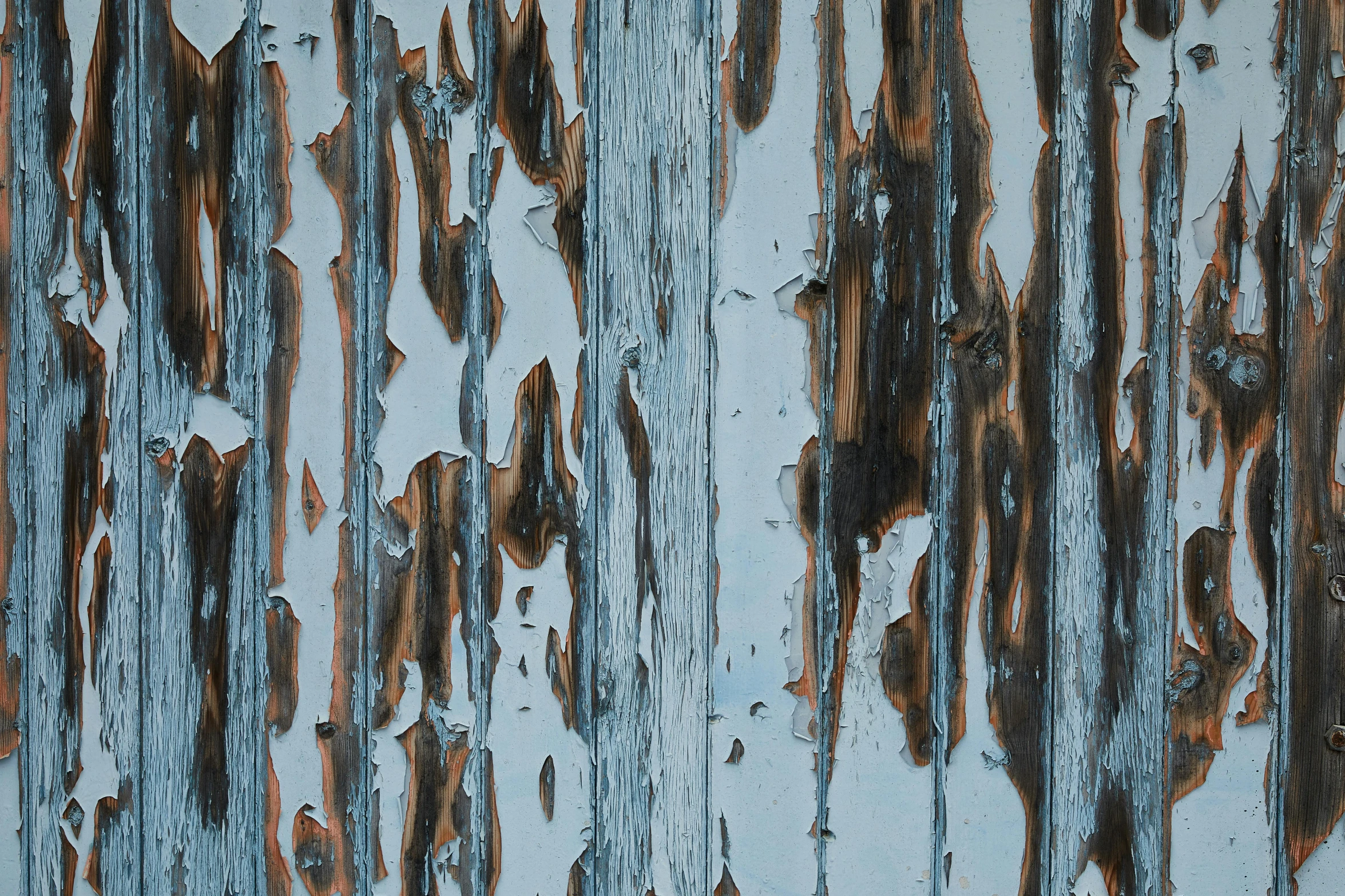 a close up of peeling paint on a wall, a detailed painting, by David Simpson, unsplash, black vertical slatted timber, blue / grey background, gradient brown to silver, pbr material