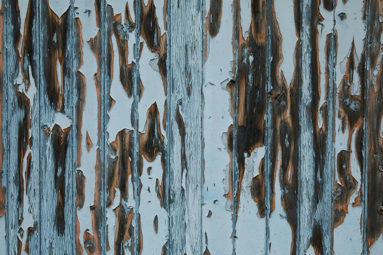 a close up of peeling paint on a wall, a detailed painting, by David Simpson, unsplash, black vertical slatted timber, blue / grey background, gradient brown to silver, pbr material